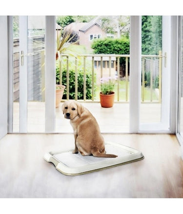 Duvo+ Pet Pad (P-PAD) - Dog Training Medium - 30pcs - 30x45cm